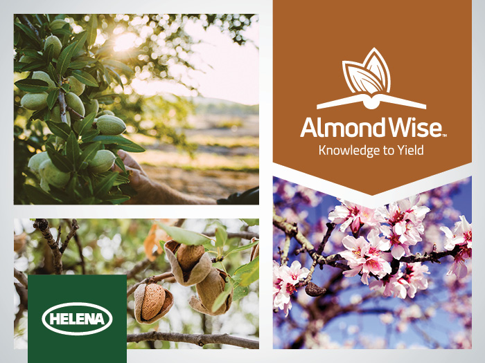 Helena Almond Wise: Empowering Growers At Every Phase