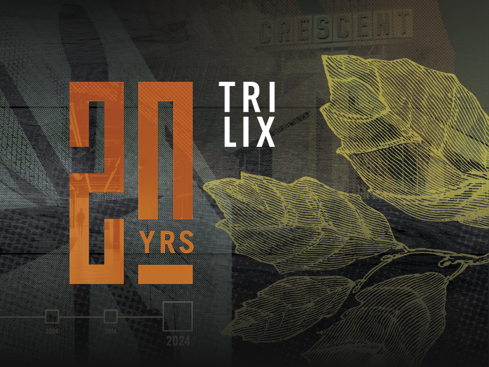 TRILIX Blog - Trilix